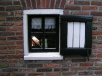 Klik op de foto voor groter formaat